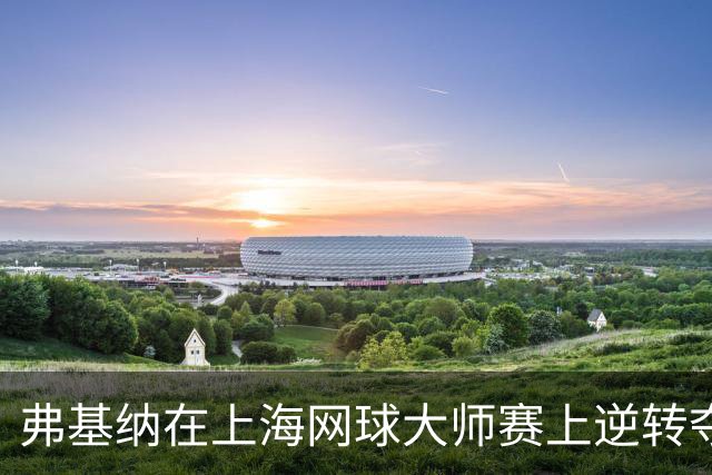 弗基纳在上海网球大师赛上逆转夺得男子单打冠军
