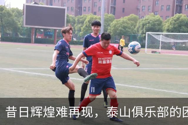 昔日辉煌难再现，泰山俱乐部的困局根源在管理